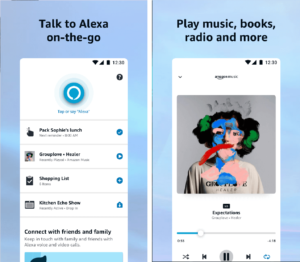 8. Amazon Alexa – The Best Voice Assistant 