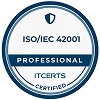 ISO/IEC 42001 (AI Management)
