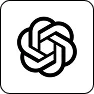 OpenAI API