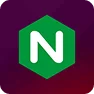 Nginx
