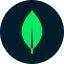 MongoDB