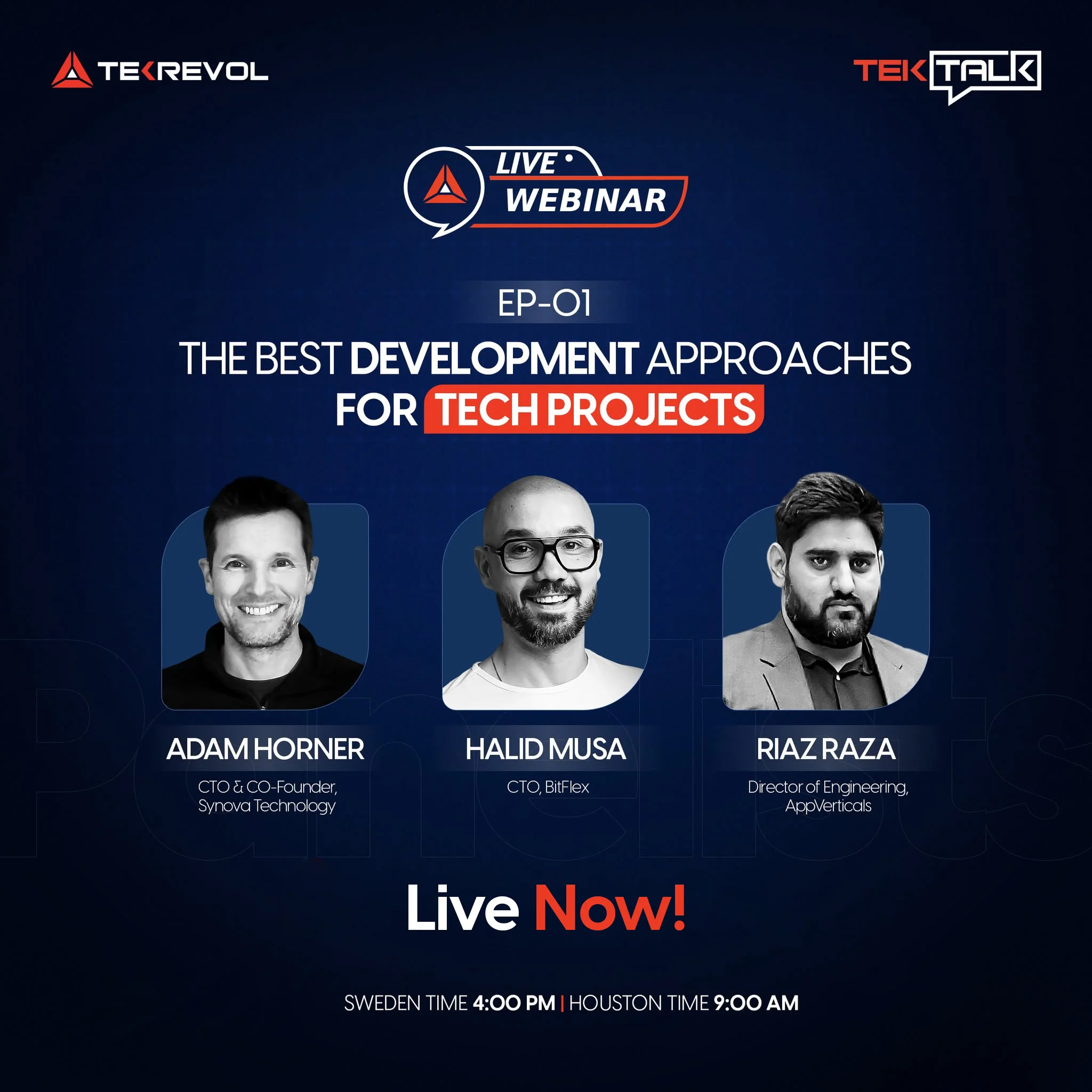 TekTalk live webinar: The Best Development Approaches for Tech Projects