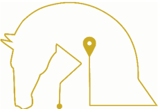 The Idea Behind EquiTrip