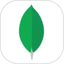 MongoDB