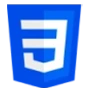 CSS