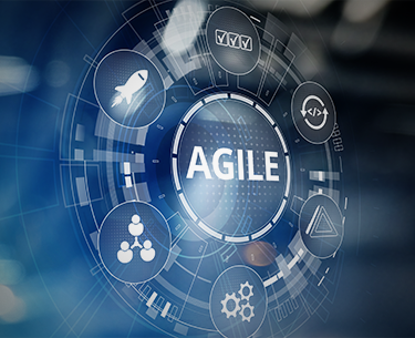 Agile Processes